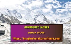 gondogoro la trek