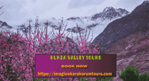 Hunza Valley Tour