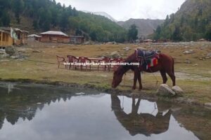 k2 & Nanga Parbat Base Camp Trek