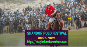 Shandor Polo Festival