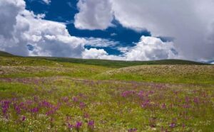 Deosai National Park Tour