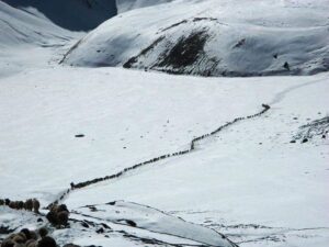 Shimshal pass Trek