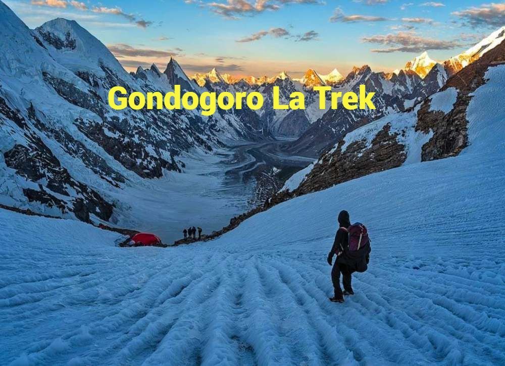 K2 and Gondogoro La Trek