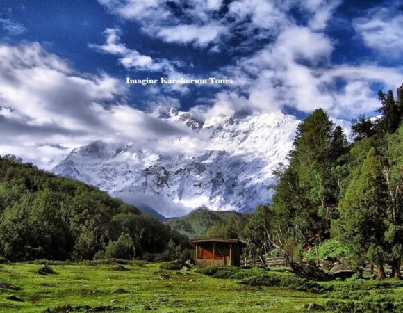 Around Nanga Parbat Trek