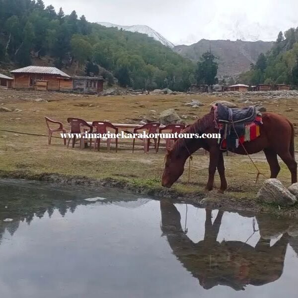 k2 & Nanga Parbat Base Camp Trek