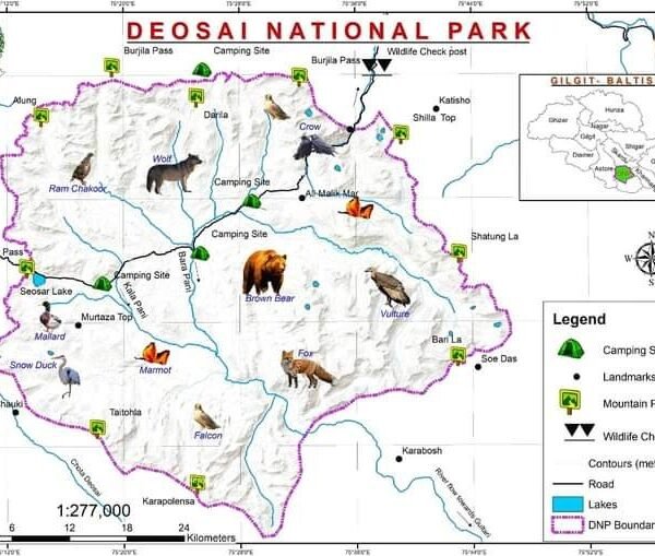 Deosai National Park Tour