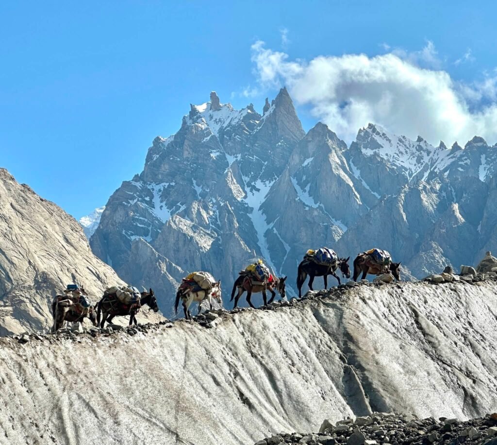 Trekking
