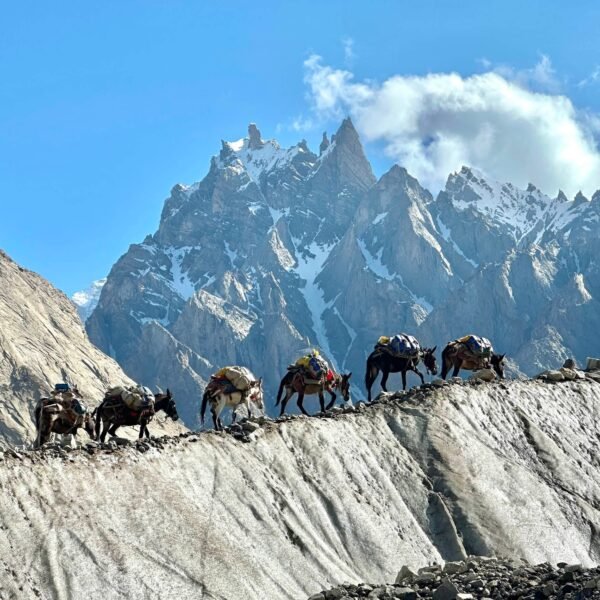 Nanga Parbat 