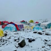 concordia camp