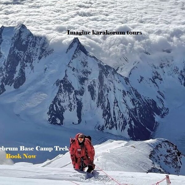 Masherbrum Basecamp trek